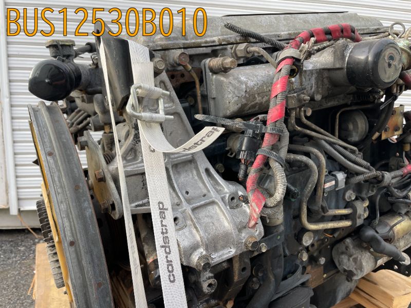 BUS12530B010