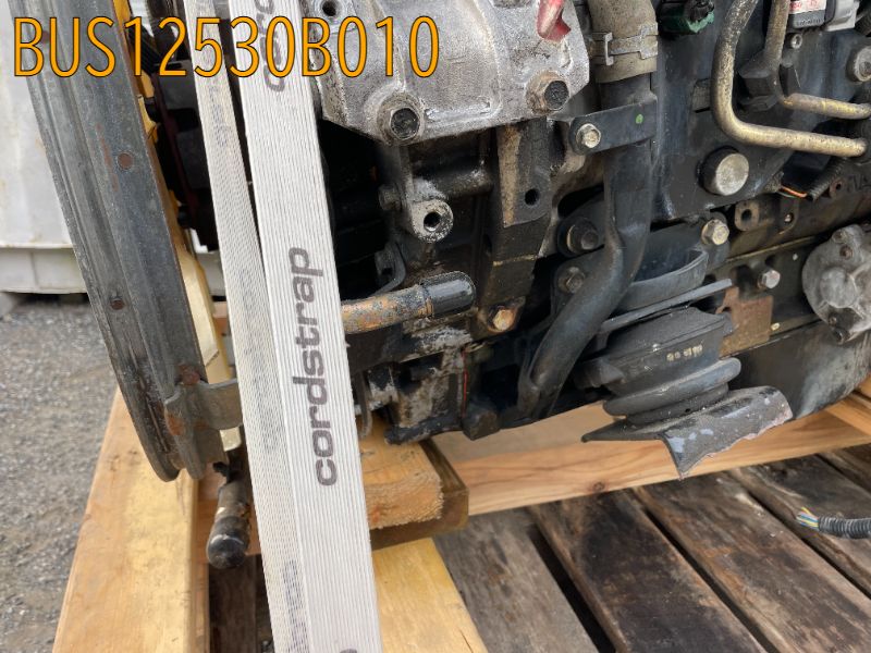BUS12530B010