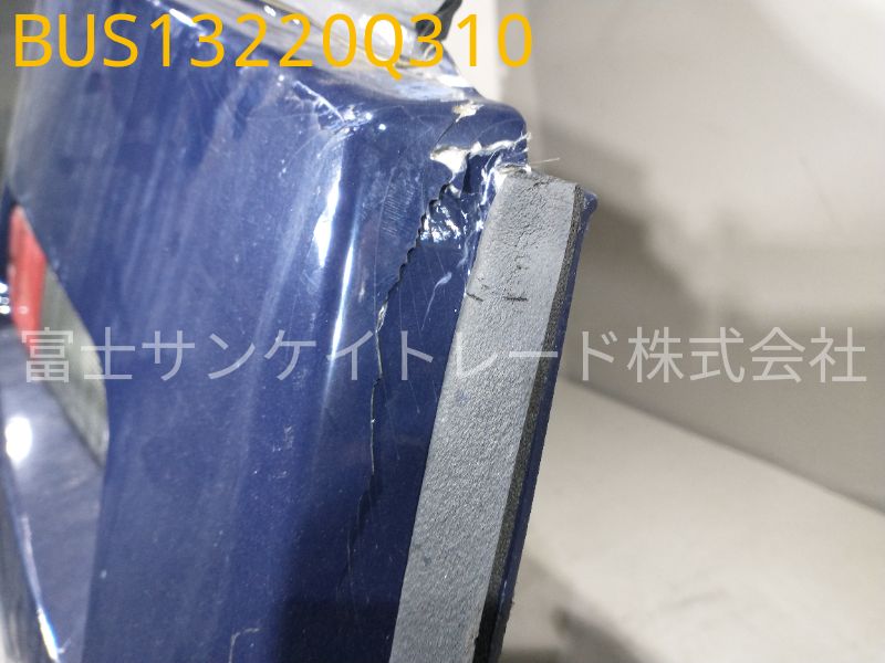 BUS13220Q310