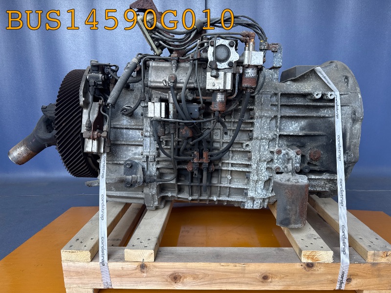 BUS14590G010