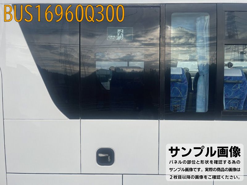 BUS16960Q300