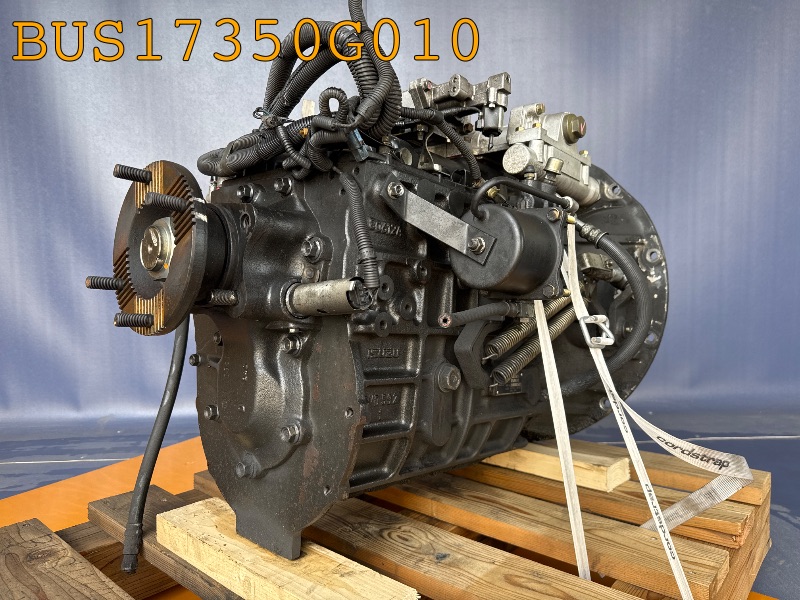 BUS17350G010