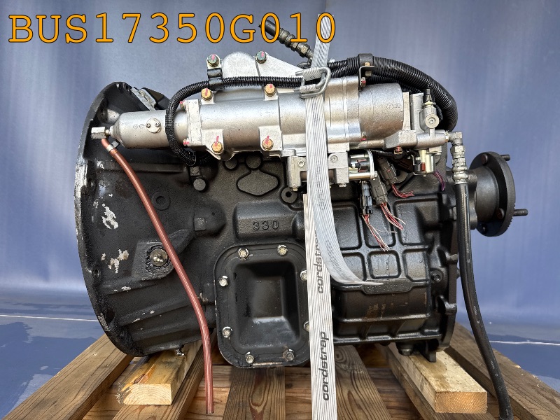BUS17350G010