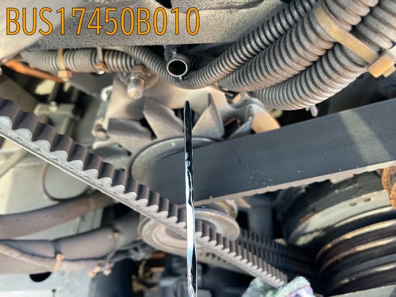 BUS17450B010
