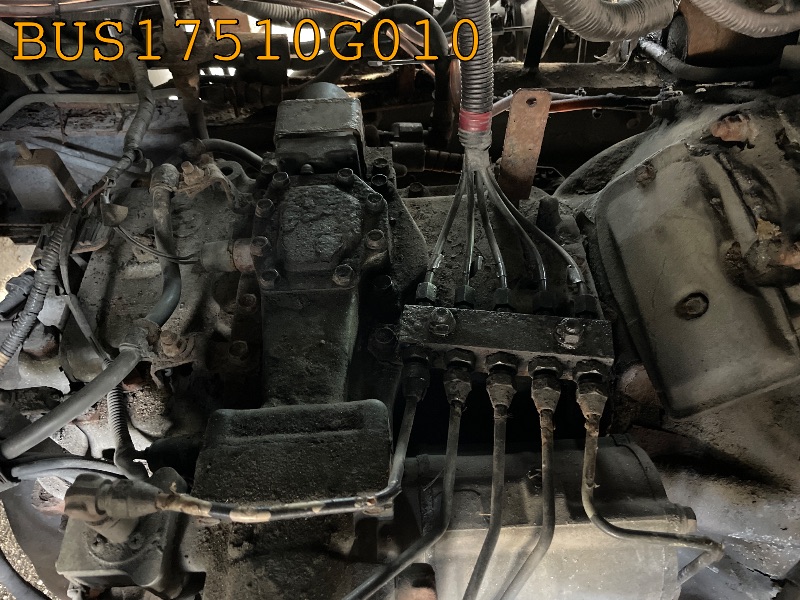BUS17510G010