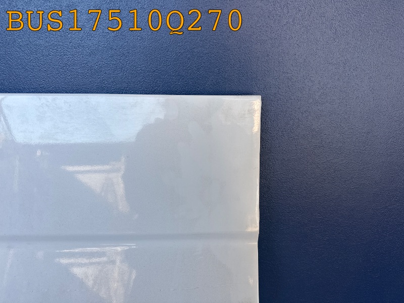 BUS17510Q270