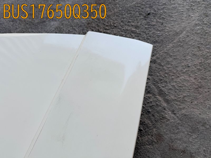 BUS17650Q350