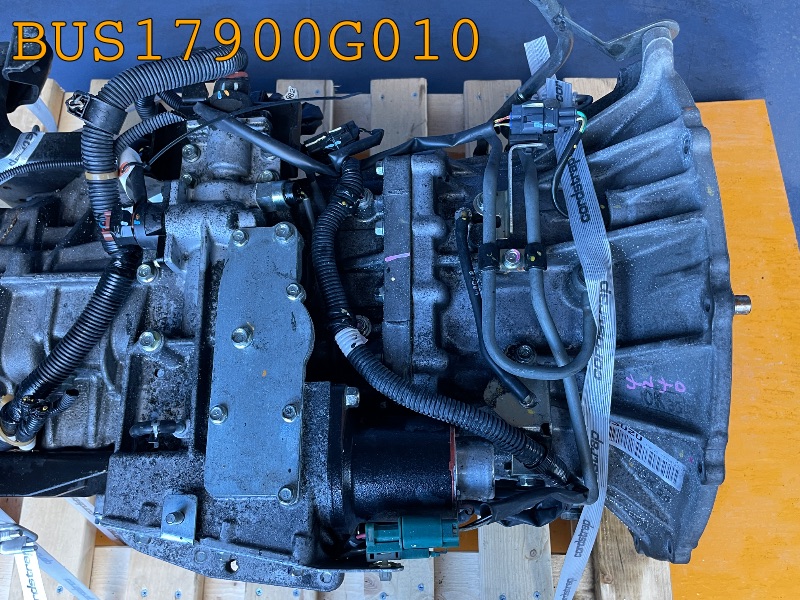 BUS17900G010