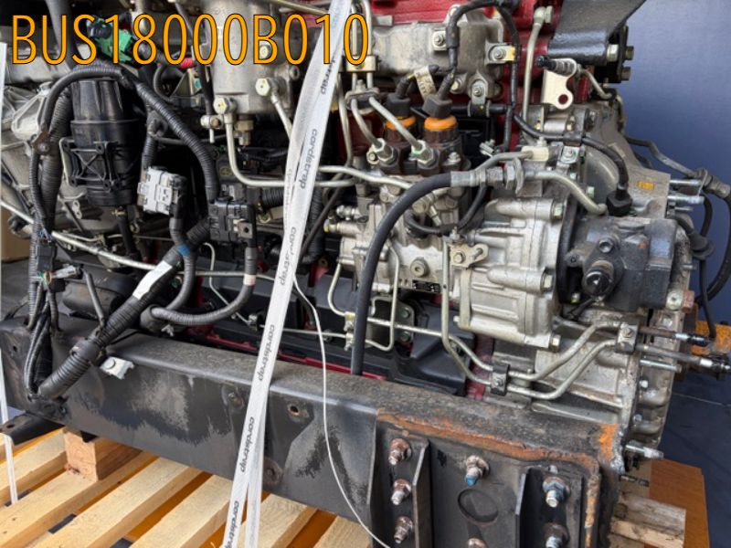 BUS18000B010