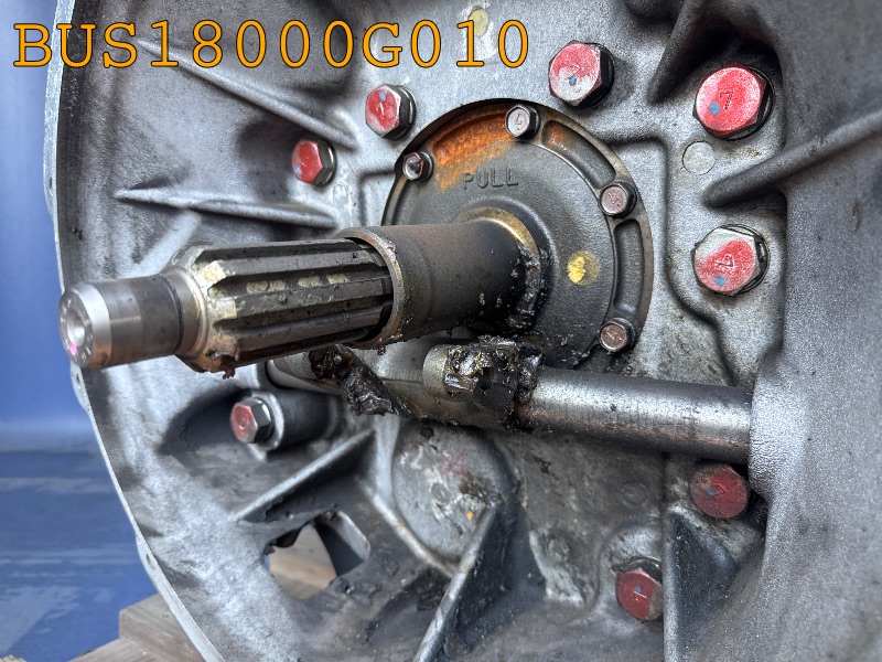 BUS18000G010