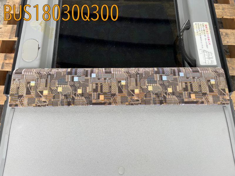 BUS18030Q300