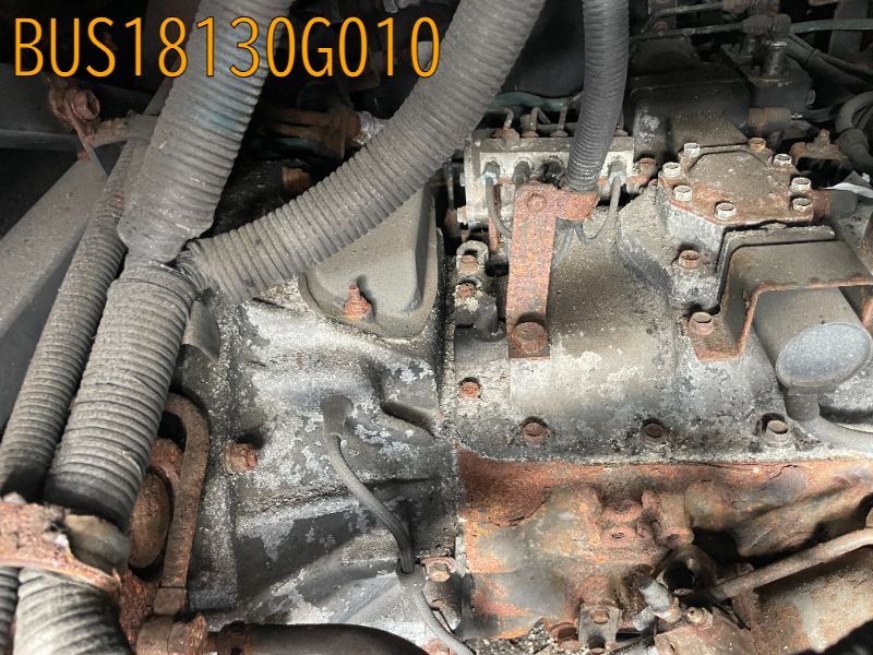 BUS18130G010