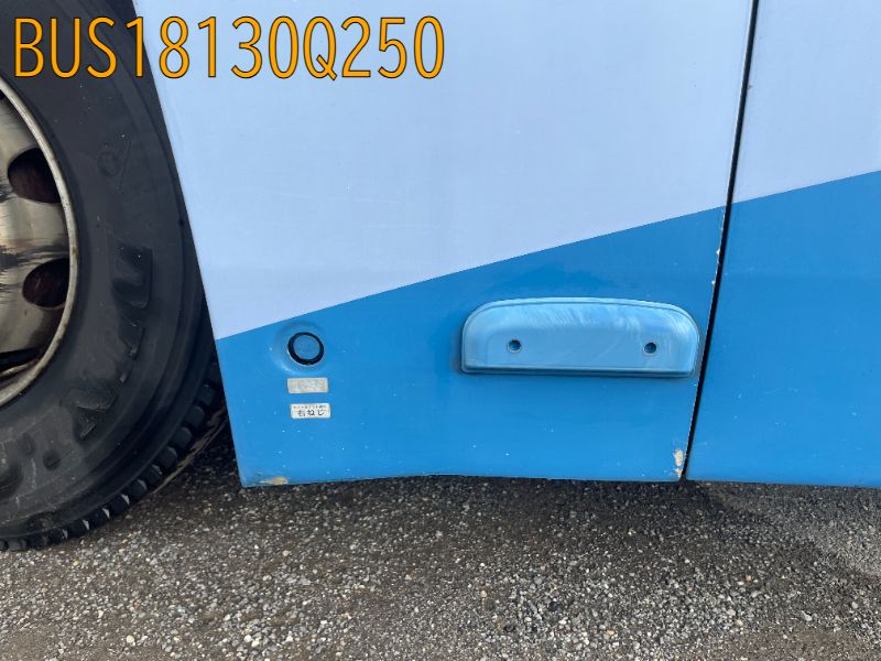 BUS18130Q250