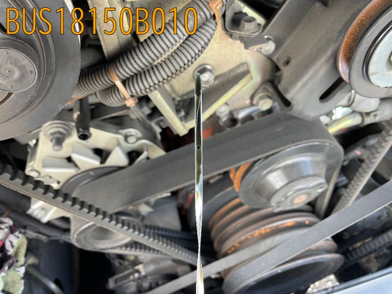 BUS18150B010