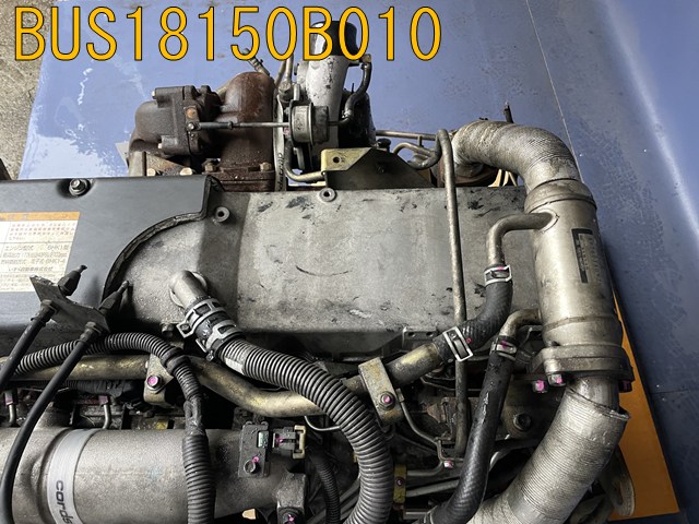 BUS18150B010
