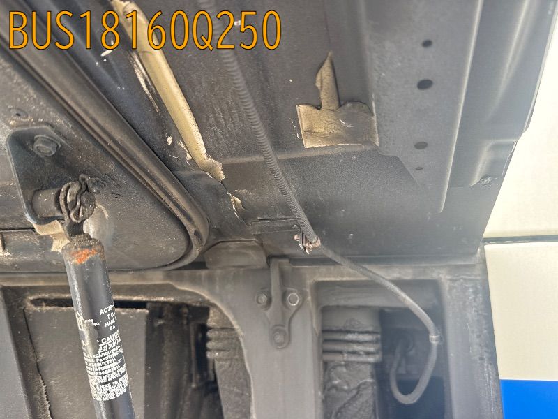 BUS18160Q250