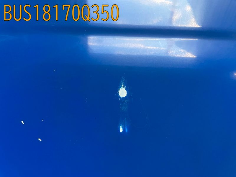 BUS18170Q350
