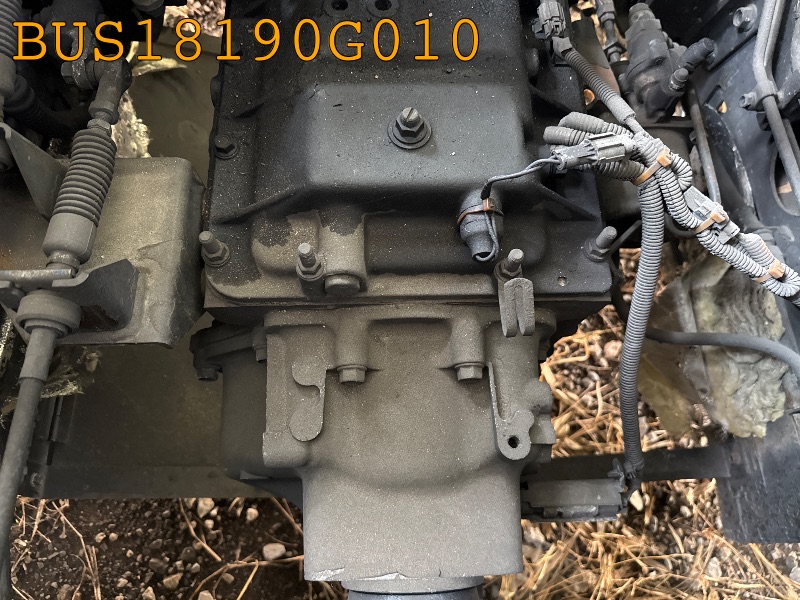 BUS18190G010