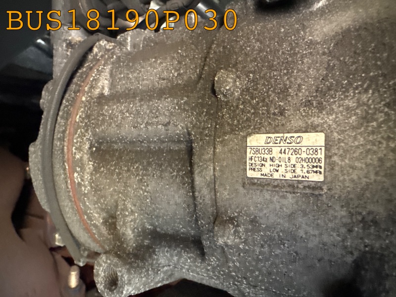 BUS18190P030