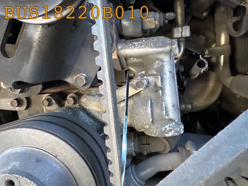 BUS18220B010