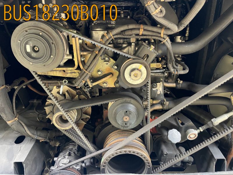 BUS18230B010
