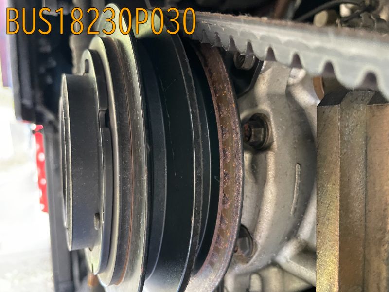 BUS18230P030