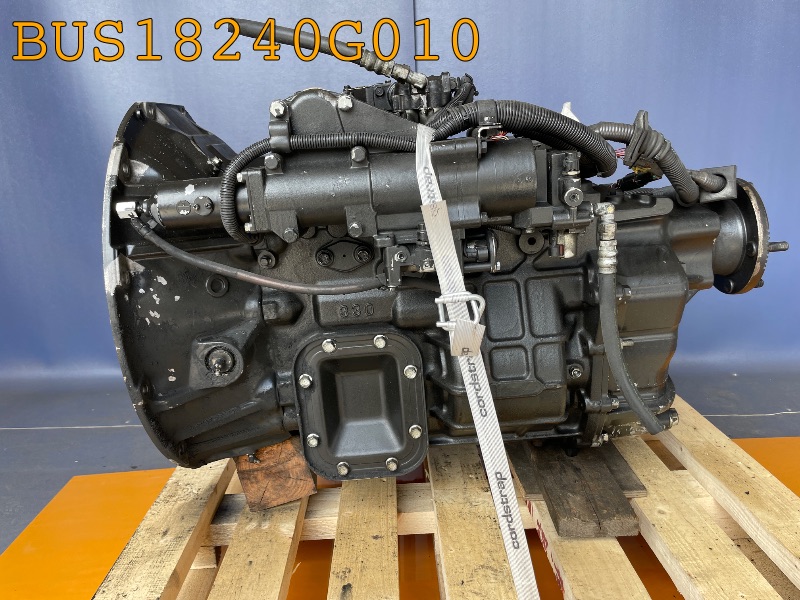 BUS18240G010