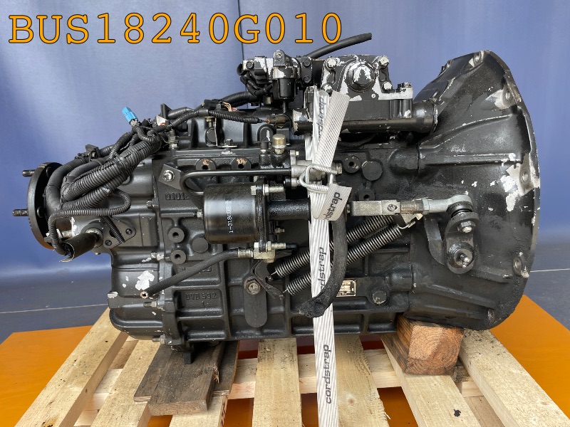 BUS18240G010