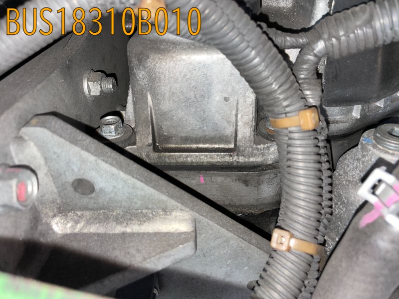 BUS18310B010
