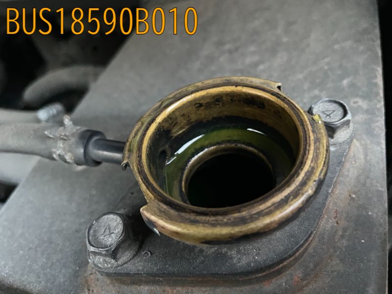BUS18590B010