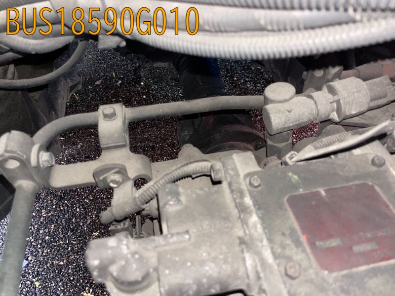 BUS18590G010