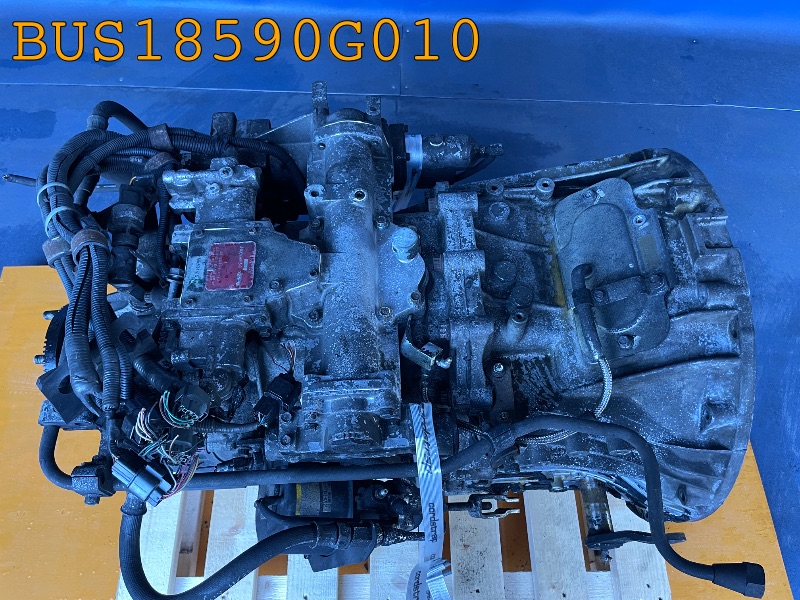 BUS18590G010