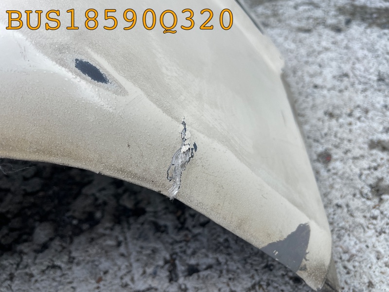 BUS18590Q320