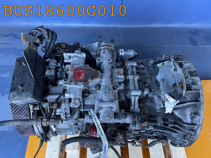BUS18600G010