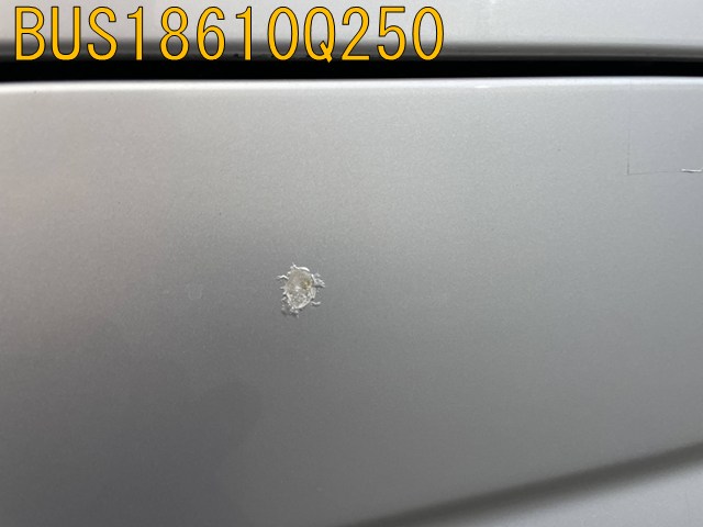 BUS18610Q250