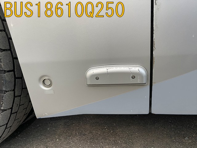 BUS18610Q250