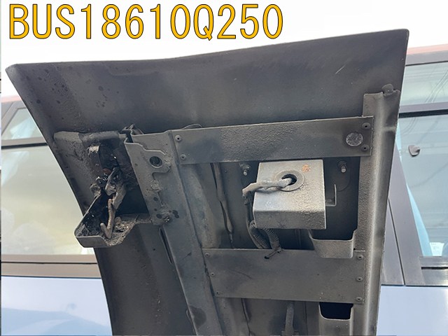 BUS18610Q250