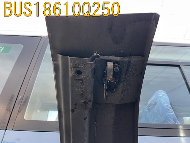 BUS18610Q250