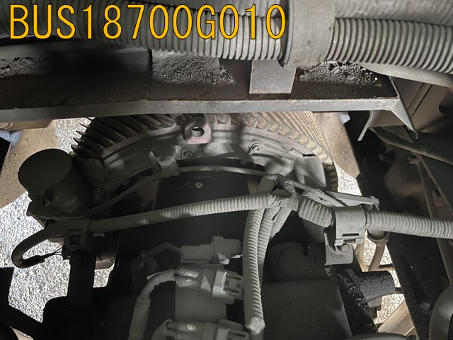 BUS18700G010