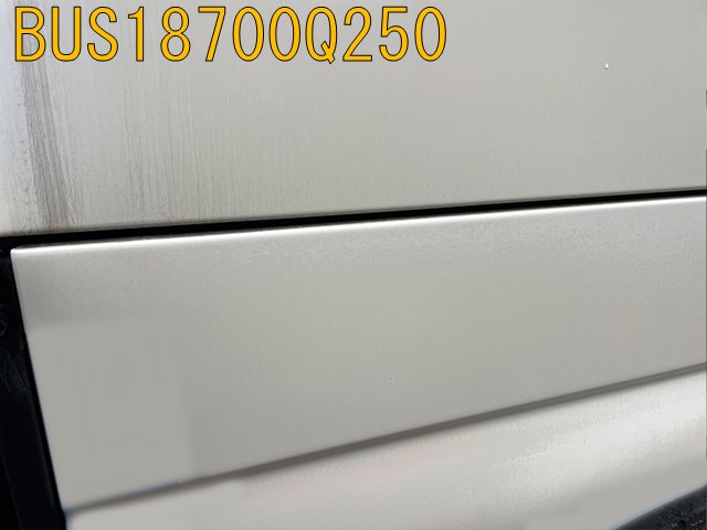 BUS18700Q250