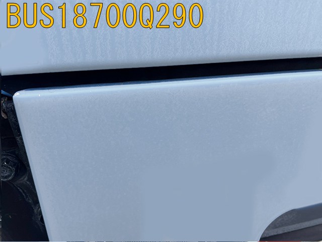 BUS18700Q290