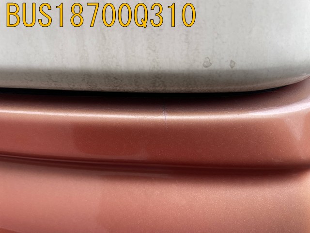 BUS18700Q310
