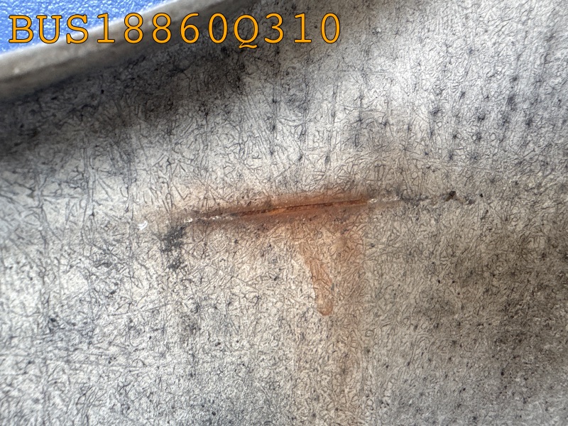 BUS18860Q310