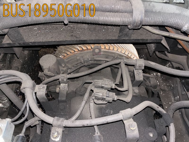 BUS18950G010