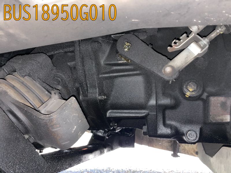 BUS18950G010