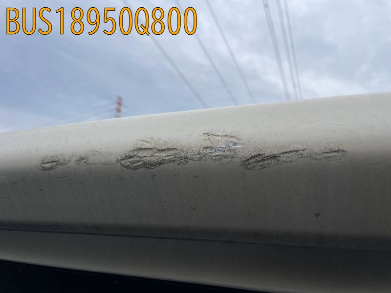 BUS18950Q800