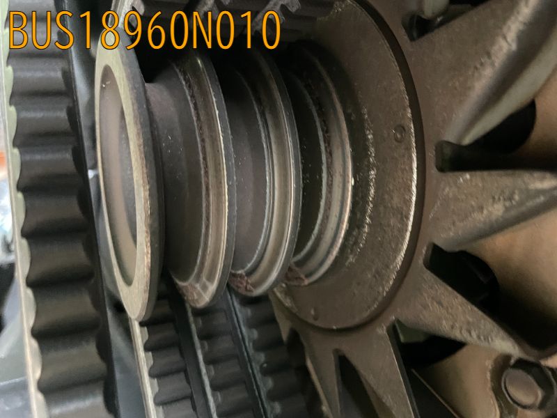 BUS18960N010
