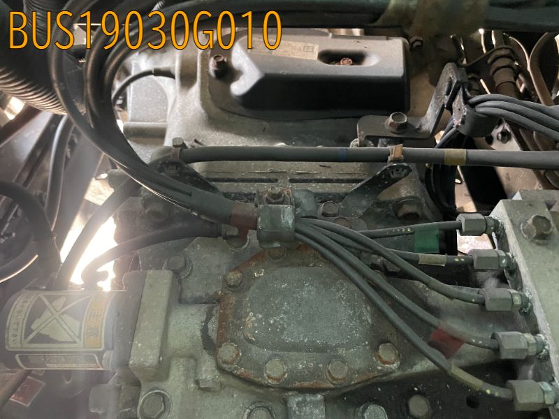 BUS19030G010
