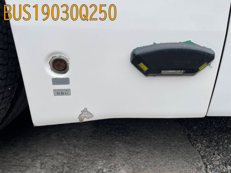 BUS19030Q250