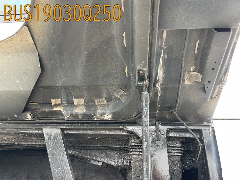 BUS19030Q250